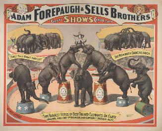 Forepaugh-Sells Great Shows Combined: Two Biggest Herds of the Best Trained Elephants