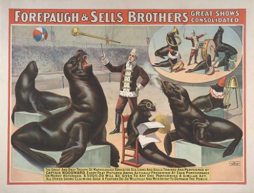 Forepaugh-Sells Great Consolidated: Captain Woodward