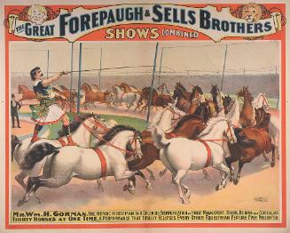 Forepaugh-Sells Shows Combined: Mr. Wm. H. Gorman With 30 Horses At One Time