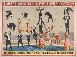 Forepaugh-Sells Enormous Shows United: The Wonderful Eddy Family Acrobatic Act