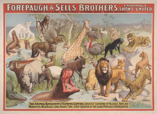 Forepaugh-Sells Enormous Shows United: The Animal Kingdom's Teeming Capitol