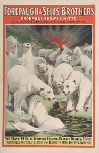 Forepaugh-Sells Enormous Shows United: We Have 14 Full Grown Living Polar Bears