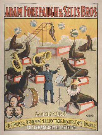 Forepaugh-Sells Enormous Shows United: Captain Webb's 2 Troupes of Performing Seals