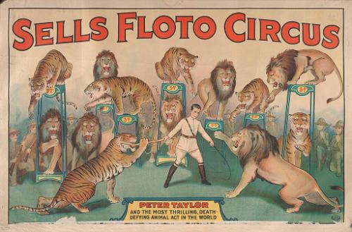 Sells Floto: Peter Taylor