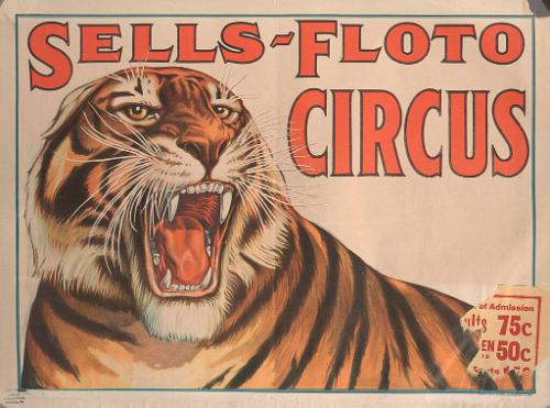 Sells Floto: Large Snarling Tiger