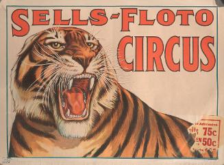 Sells Floto: Large Snarling Tiger