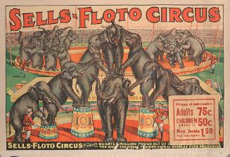 Sells Floto: Presents Quarter-Million Pound Act