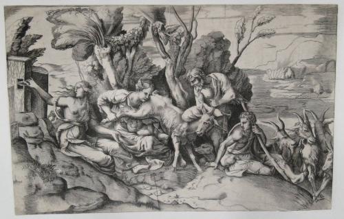 The Education of Jupiter