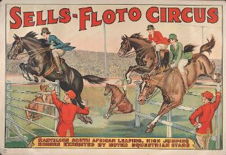 Sells Floto: Marvelous South African Leaping Horses