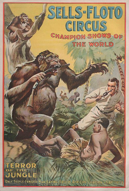 Sells Floto: Terror of the Jungle