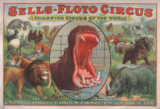 Sells Floto: A Monstrous Menagerie of Rarest Wild Animals