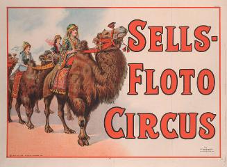 Sells Floto: Camel Riders