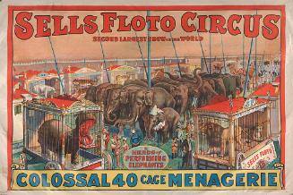 Sells Floto: Colossal 40 Cage Menagerie