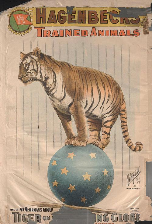 Metropolitan Print