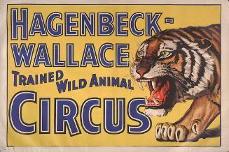 Hagenbeck-Wallace: Tiger