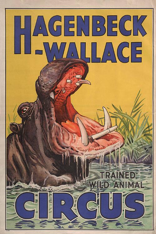 Hagenbeck-Wallace: Big Hippo