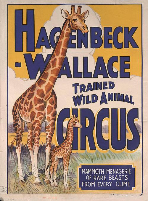 Hagenbeck-Wallace: Mother and Baby Giraffe