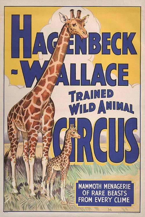 Hagenbeck-Wallace: Mother and Baby Giraffe