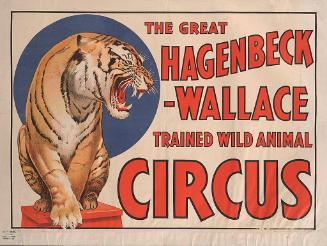 Hagenbeck-Wallace: Tiger On Stool