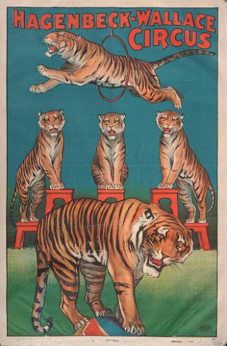 Hagenbeck-Wallace: 5 Tigers