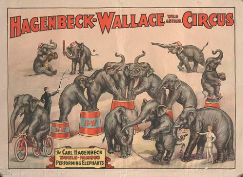 Hagenbeck-Wallace: The Carl Hagenbeck Performing Elephants