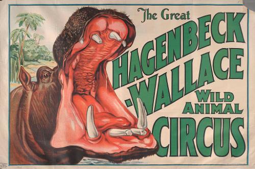 Hagenbeck-Wallace: Hippopotamus