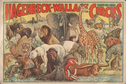 Hagenbeck-Wallace: Animals Gathered At Waterhole
