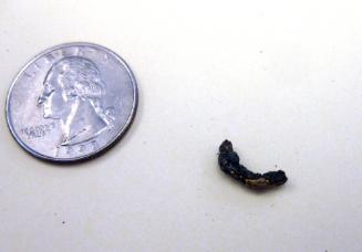 Earring fragment
