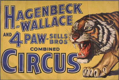 Hagenbeck-Wallace & Forepaugh Sells Bros.: Tiger