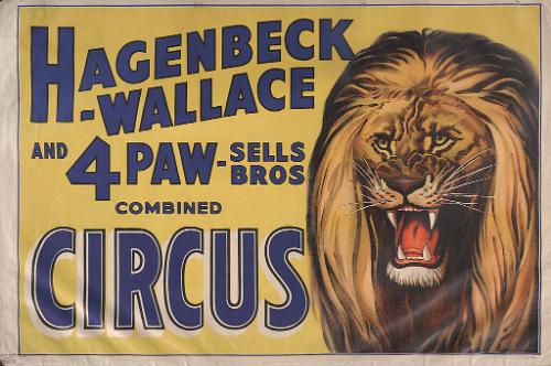 Hagenbeck-Wallace & Forepaugh Sells Bros.: Lion