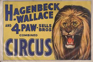 Hagenbeck-Wallace & Forepaugh Sells Bros.: Lion