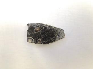 Ancient Glass Fragment