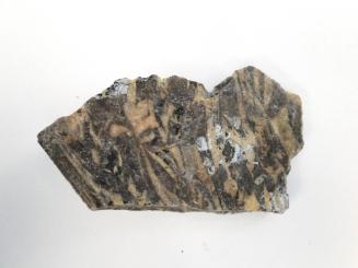 Ancient Glass Fragment