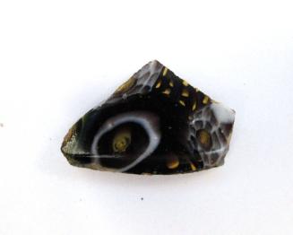 Ancient Glass Fragment