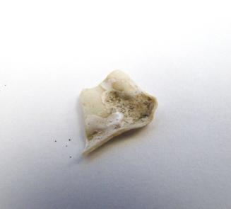 Ancient Glass Fragment