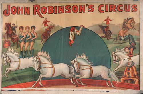 John Robinson's Circus: 4 White Bareback Horses