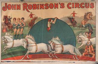 John Robinson's Circus: 4 White Bareback Horses