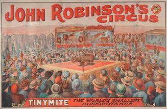 John Robinson's Circus: TinyMite Smallest Hippopotamus