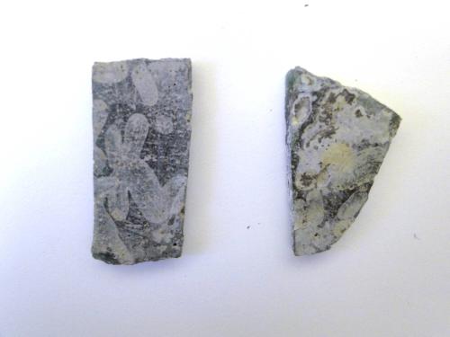 Ancient Glass Fragment