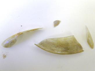 Ancient Glass Fragment