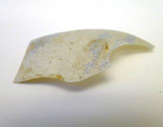 Ancient Glass Fragment