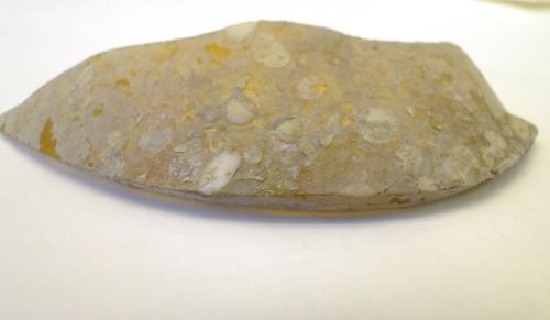 Ancient Glass Fragment