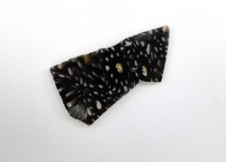 Ancient Glass Fragment