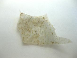 Ancient Glass Fragment