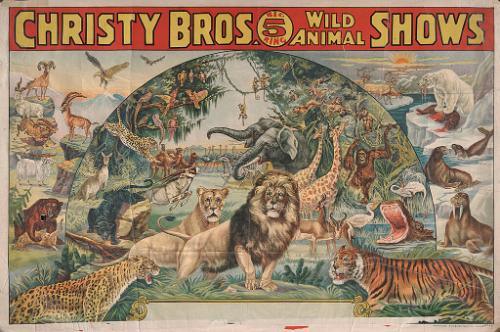 Christy Bros.: Animals On Plain