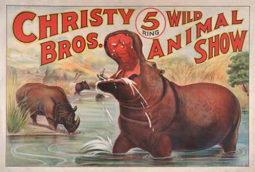Christy Bros.: Rhinoceros and Hippopotamus At Waterhole