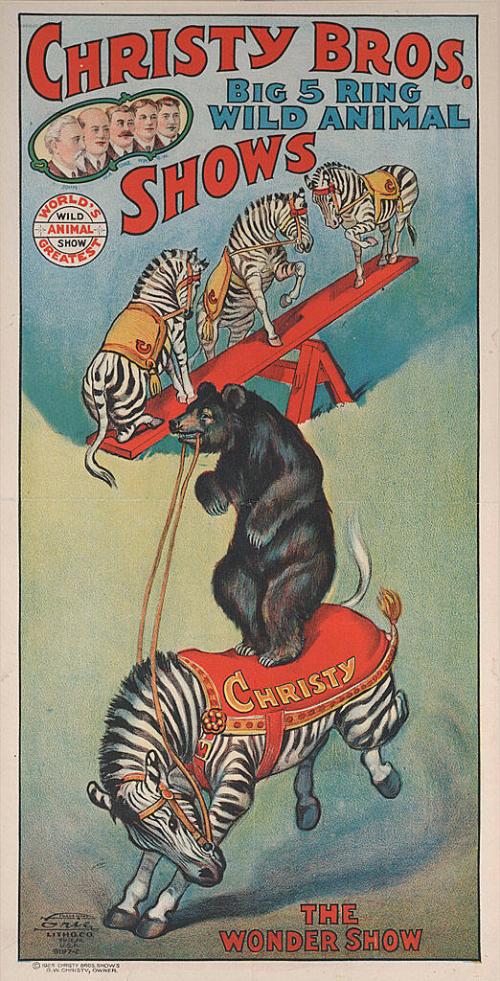 Christy Bros.: Zebra Acts