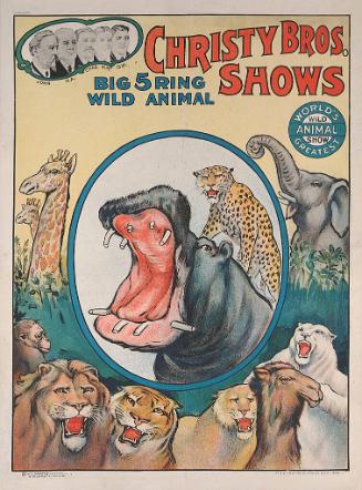 Christy Bros.: Leopard On a Hippopotamus