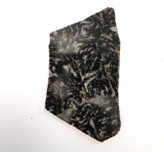 Ancient Glass Fragment