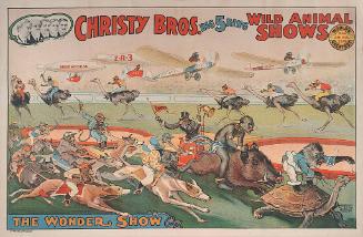 Christy Bros.: Races